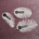 Feathery place cards with Purim wax seal