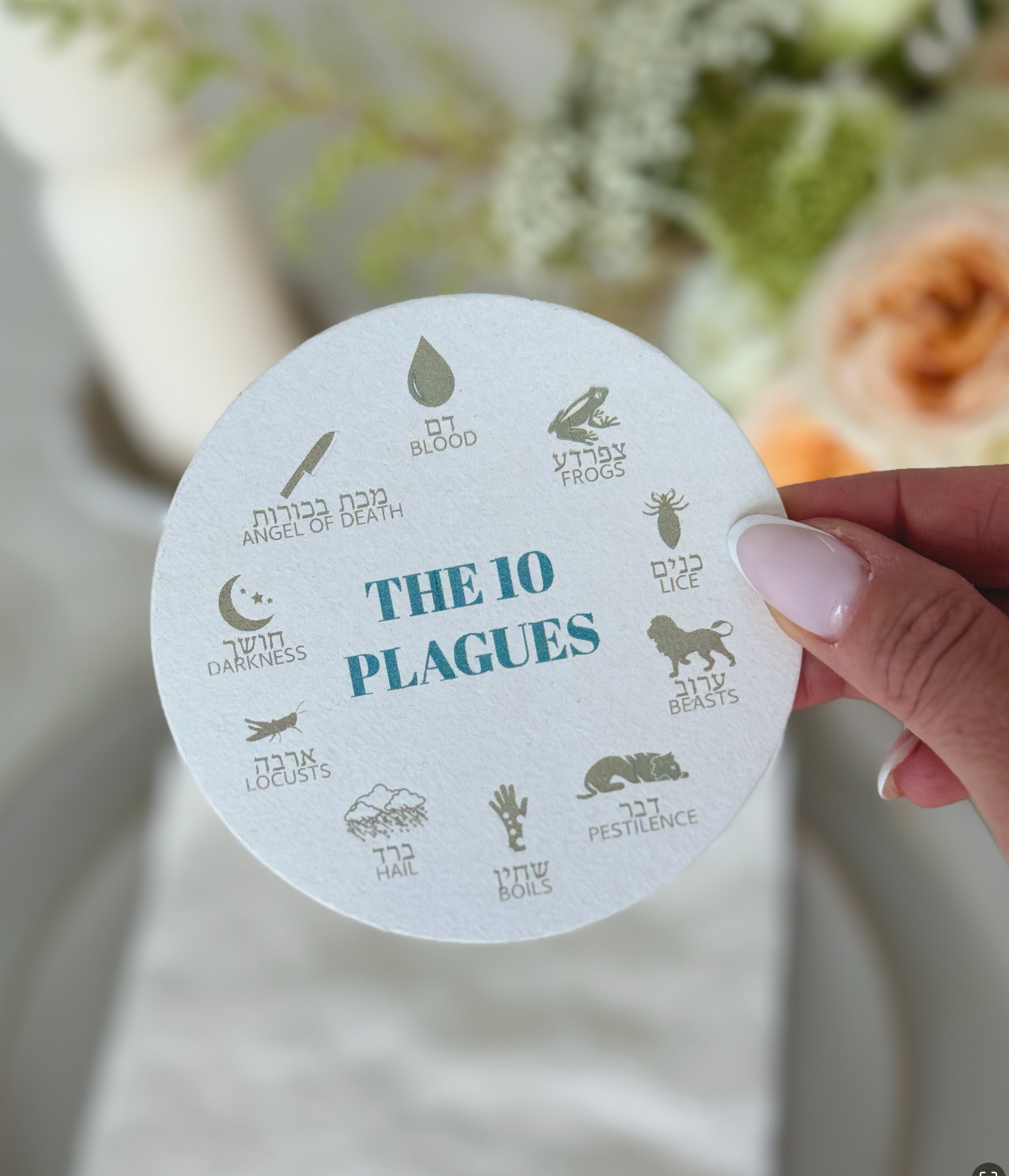 The Ten Plagues Maccos Coasters x The Chefs Wife