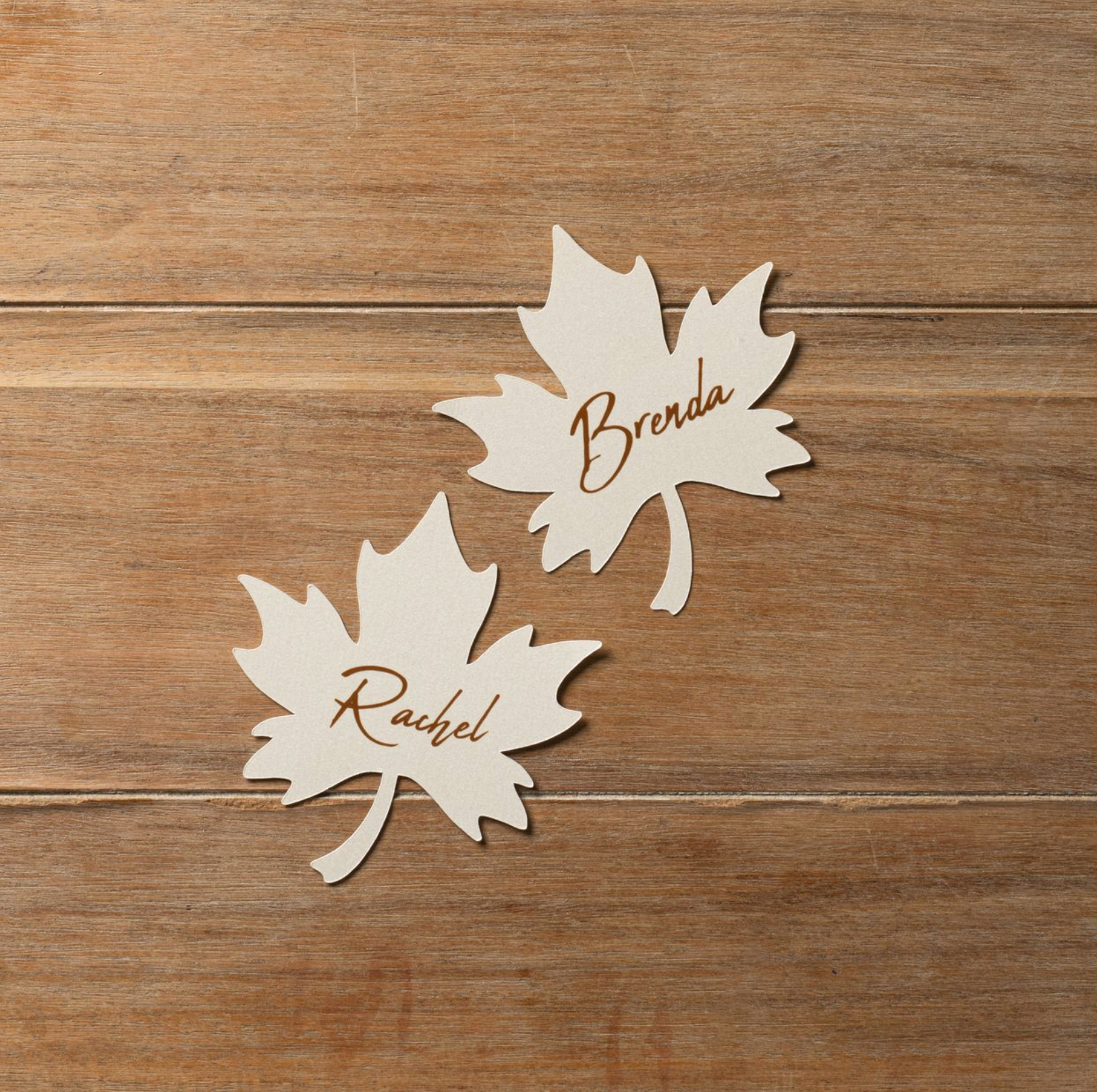 Shimmer Leaf Name Card
