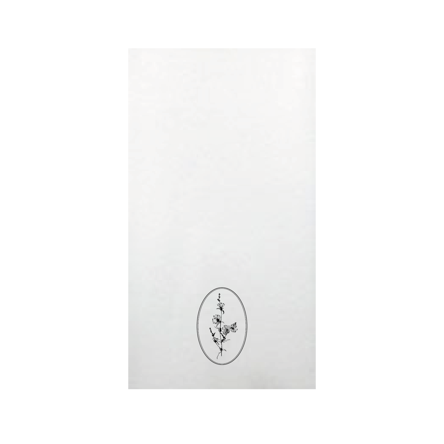 The Blooms Collection Guest Towel Napkins