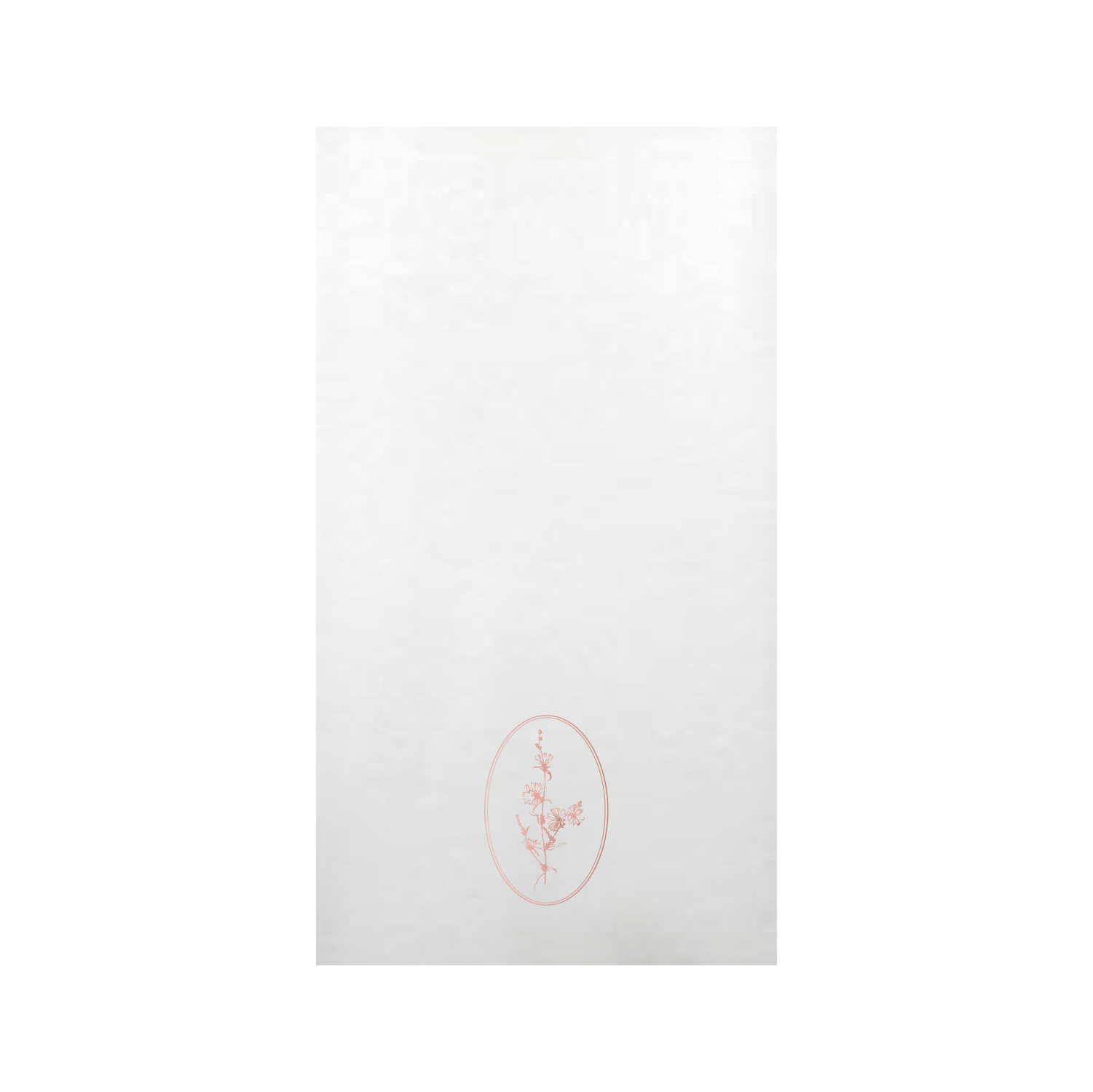 The Blooms Collection Guest Towel Napkins