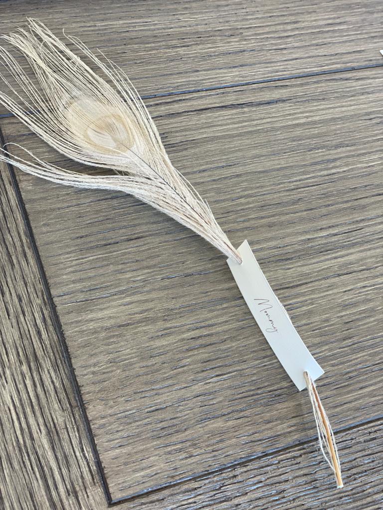 Peacock feather name cards