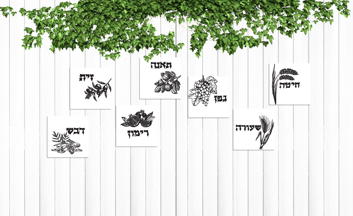 Modern Metal shivas haminim set