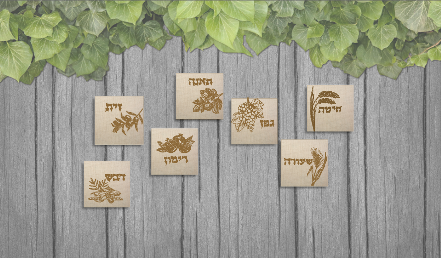 burlap design shivas haminim set