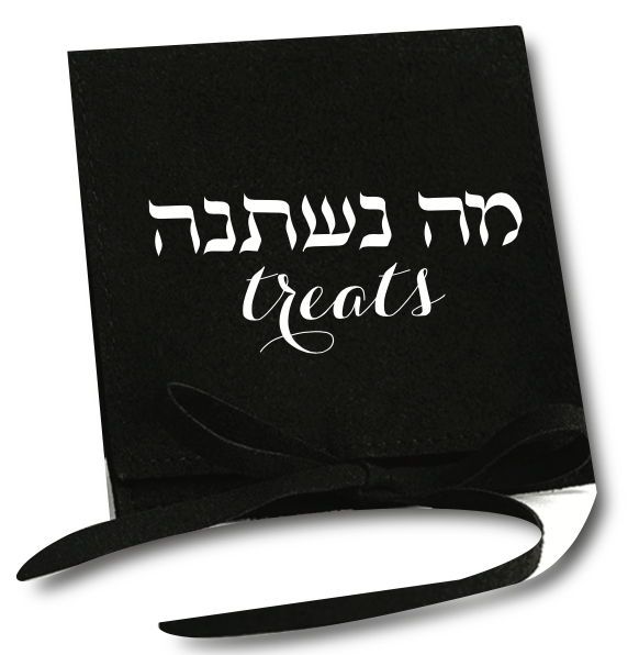 Suede Ma Nishtana Treat Pouches | Rachel Ostroy