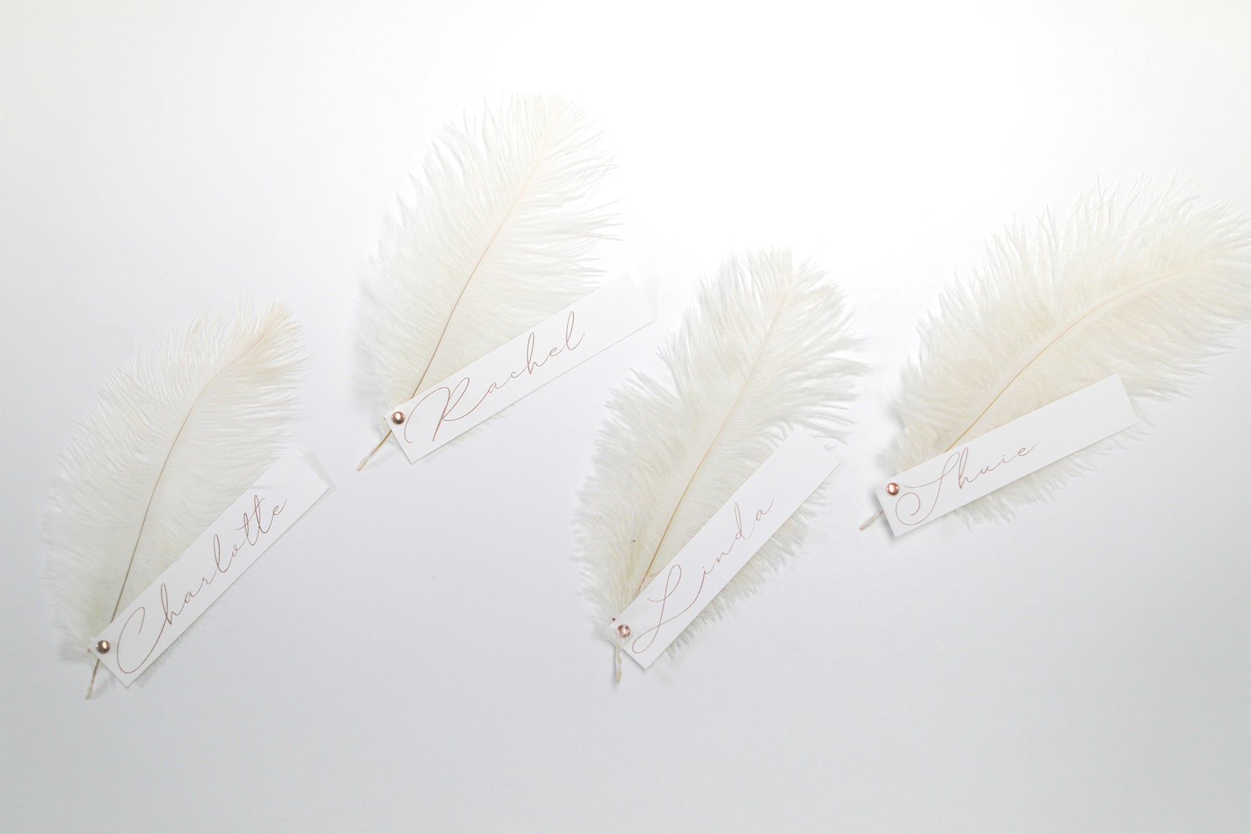 Large Feather Name card | Rachel Ostroy Collection